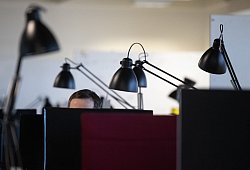 Mann arbeitet in einem B&uuml;ro - Sebastian Gollnow/dpa/dpa-tmn