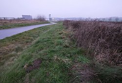 SL HBM Stand Amazon - Jost Wolf