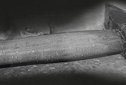 Lippe kriminell - Symbolbild Pixabay