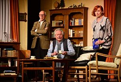 Die letzte Zigarre - Nicole Ellerbrake