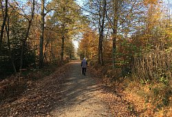 img_0573 - Jana Beckmann