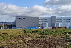 Amazon - Diana Ammer