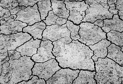 Dürre - Symbolbild: Pixabay