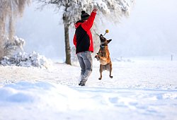 Mann spielt im Schnee mit seinem Hund - Thomas Warnack/dpa