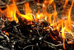 Feuer - Pixabay