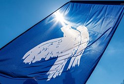 Friedenstaube - Frank Hammerschmidt/dpa