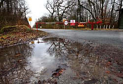 Entfällt als Lösung - Vera Gerstendorf-Welle