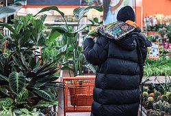 Ein Mann geht durch das Gartencenter in einem Baumarkt - Oliver Berg/dpa/dpa-tmn