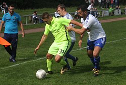 Verbissen - Dietmar Welle