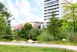 CDU will Klima-Quartier - CDU