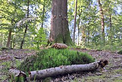 20230924_124230 - 1 - Archivfoto: Carolin Brokmann-Förster