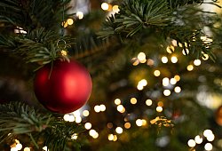 Christbaumkugel am Weihnachtsbaum - Markus Lenhardt/dpa