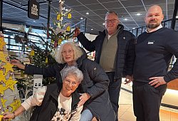 mk-wunschbaum - 1 - Sandra Castrup