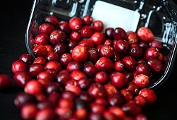 Cranberrys liegen in einer Schale - Sina Schuldt/dpa-tmn