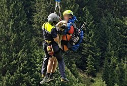 Hündin per Hubschrauber aus steilem Gelände geborgen - Unbekannt/LPD VORARLBERG/APA/dpa