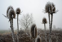Wetter in Bayern - Stefan Puchner/dpa