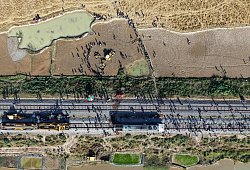 Elefanten sterben in Indien bei Kollision mit Zug - Anupam Nath/AP/dpa