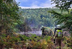20250827_waldbrand_1 - Feuerwehr Lügde
