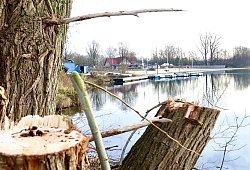 muk_lippesee_neu - Rajkumar Mukherjee