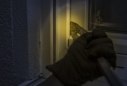 Ein Einbrecher bei Nacht - Pixabay