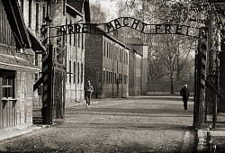 Auschwitz - Pixabay