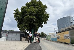 img_8020 - 1 - Sven Kienscherf