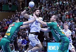 tbv-leipzig - 1 - Paul Cohen