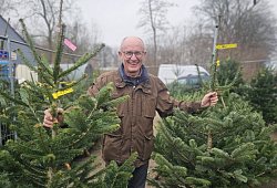 Weihnachtsbaumverkauf - Janet K&ouml;nig