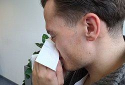 20241029_140239 - 1 - Symbolfoto: Carolin Brokmann-F&ouml;rster