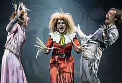 shockheadedpeter_hp1_fotojq_265 - 1 - Landestheater Detmold/Jochen Quast