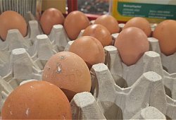 20250410_203732 - Simone Fl&ouml;rke