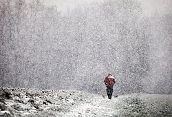 191218_1202_waldspaziergang - 1 - Sarah Jonek