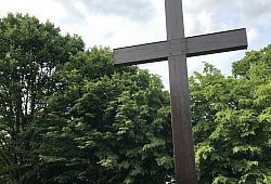 Waldfriedhof Barntrup - 1 - Chiara Wibbeke/Archivfoto