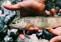 pexels-toulouse-3098642 - 1 - Symbolfoto: pexels.com