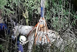 Pferd in Not - 1 - Feuerwehr Lage