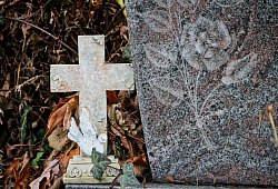 cross-4822258 - Symbolbild: Pixabay