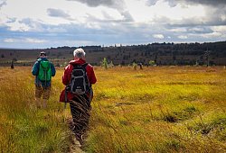 Wanderer im Hochmoor - Deike Uhtenwoldt/dpa-tmn
