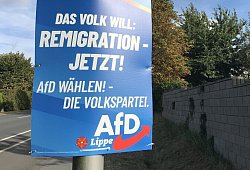 AfD - 1 - Anneke Quasdorf