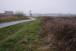 SL Amazon Gel&auml;nde - Jost Wolf