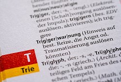 Das Wort „Triggerwarnung“ im Duden - Jens Kalaene/dpa