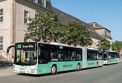 Busse im Rosental - Svd