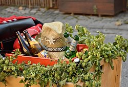 Mit dem Bollerwagen losziehen, das ist keine gute Idee (Symbolbild). - Pixabay