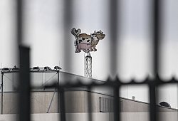 Der Corona-Ausbruch bei Tönnies sorgt bundesweit für Aufsehen. - Lukas Brekenkamp