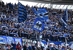 Hannover 96 - Arminia Bielefeld - picture alliance/dpa