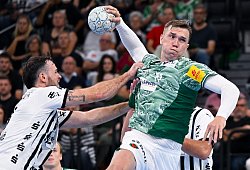 Füchse-Rückraumspieler Lasse Andersson - Sven Hoppe/dpa