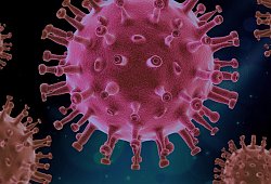 Coronavirus - Symbolfoto: Pixabay