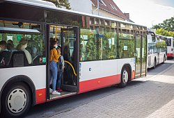 Schulbusse - Niklas Tüns