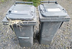 M&uuml;lltonnen - Archivfoto: Sylvia Frevert