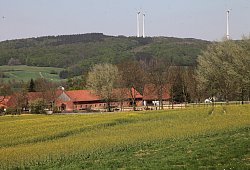 Pferdehof bei Brosen - Vera Gerstendorf-Welle