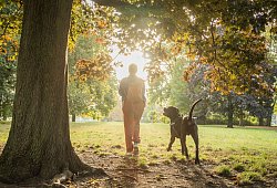 Eine Frau geht mit ihrem Hund im Park spazieren - Christin Klose/dpa-tmn